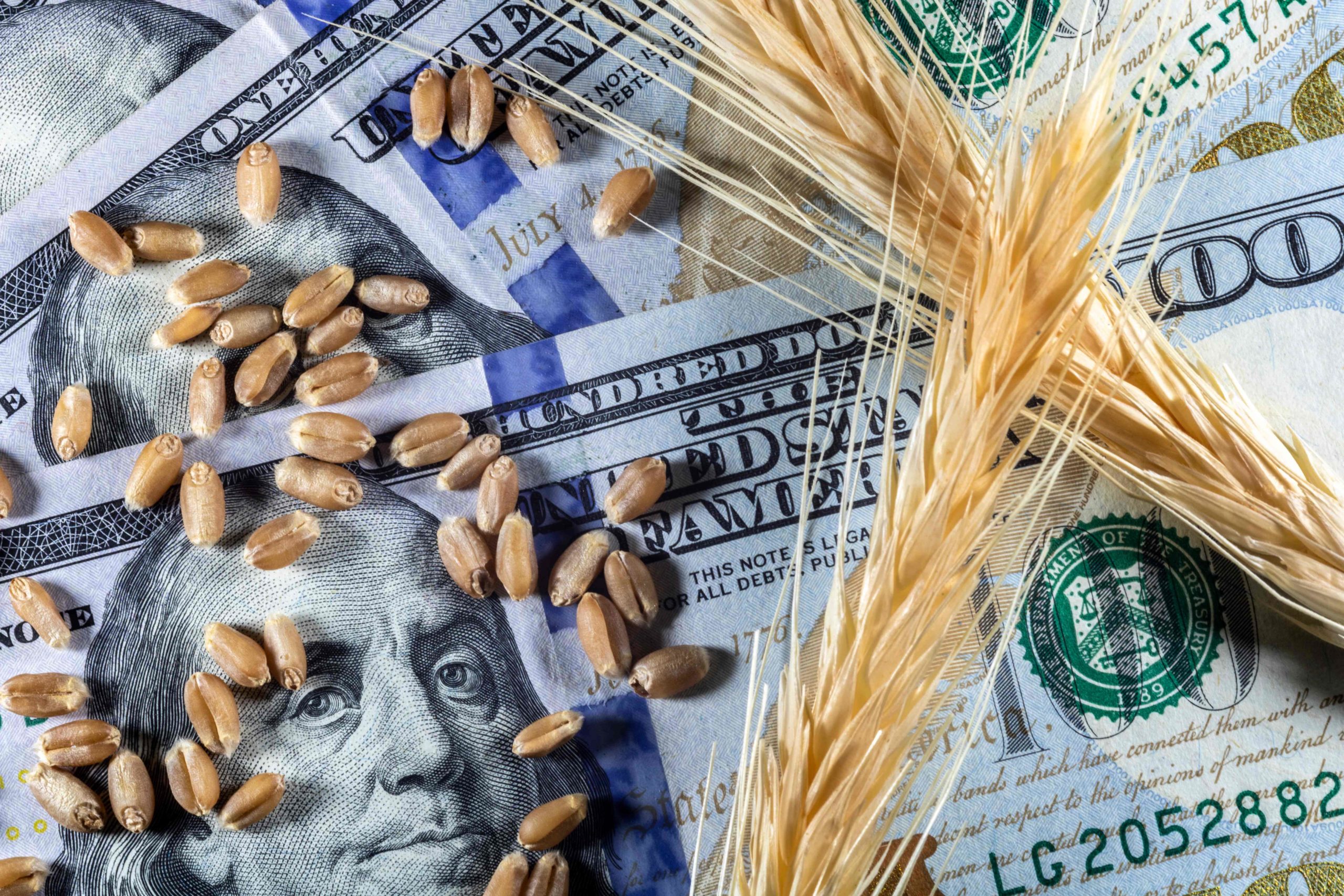 Investing in Commodities - tea, coffee, wheat, and coffee, gold and oil