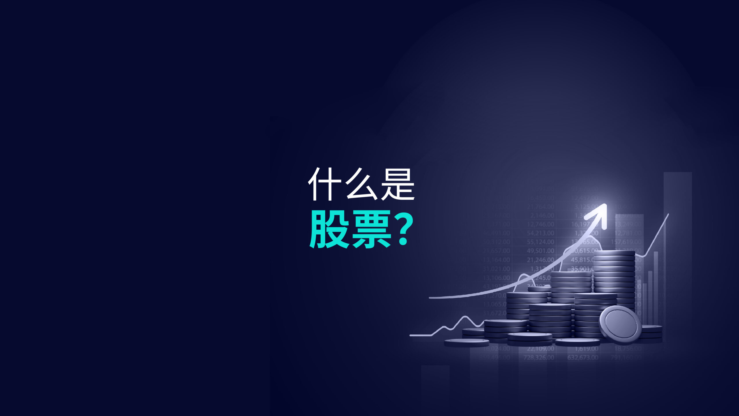 什么是股票?